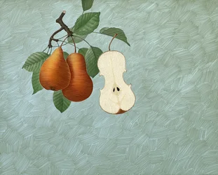 Pyris Stradivarius, 2016 (scratchboard, coloreado digitalmente)