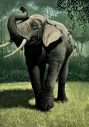 El libro de la selva, 2006 (scratchboard, coloreado digitalmente)