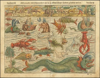 Edición de 1570 de la Carta de los monstruos marinos de Sebastian Münster