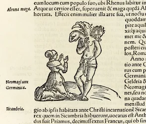 Una bruja invoca a un demonio de tres cabezas, de la edición de 1550 de 