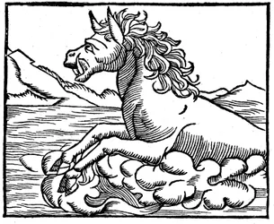 Monstruo marino