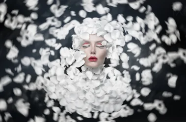 El sueño de los pétalos blancos