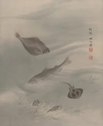 Peces, ca. 1890-92