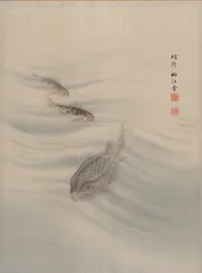 Peces