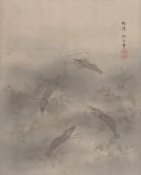 Camarón Ebi, ca. 1890-92