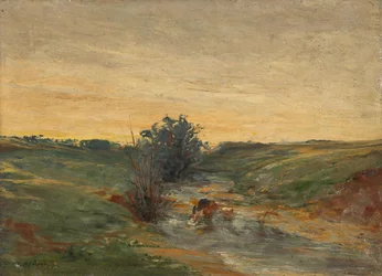 Lavandera junto al arroyo al atardecer