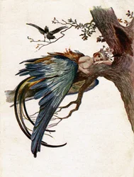 Literatura. Cuentos de hadas. El pájaro azul. Ilustración de J. Solomko, República Checa