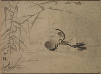Pato mandarín, 1500s