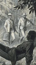 Henry Walter Bates y Alfred Russel Wallace (gouache sobre papel)