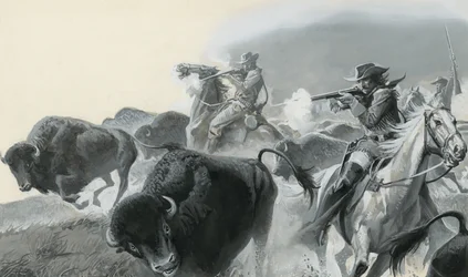 Manada de búfalos (gouache sobre papel)