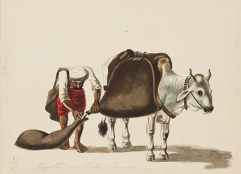 Aguador, c. 1810