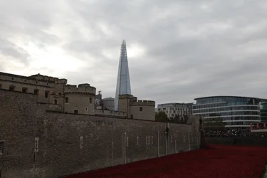 Tierras y mares de sangre barridos, Torre de Londres, 2014