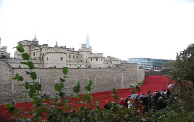 Tierras y mares de sangre barridos por el viento, Torre de Londres, 2014