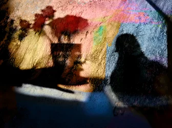 Sombras coloridas de pájaros