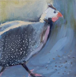 Gallina de Guinea Cuatro, 2014