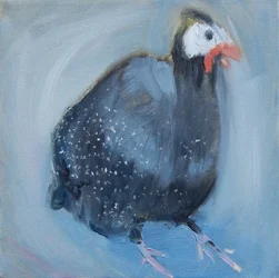 Gallina de Guinea Tres