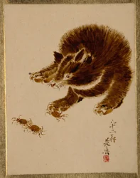 Oso y cangrejos