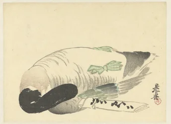 Pato muerto junto a carta doblada