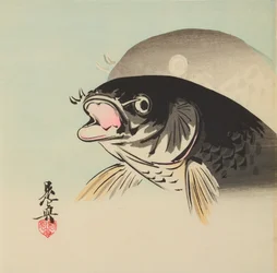 Dos peces