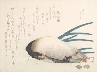 Colección Lluvia de Primavera Harusame shu, vol. 1: Pato y Cebolletas, 1810s
