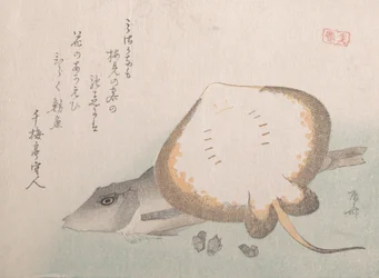Raya y Gurnard, probablemente 1815