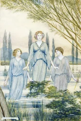 Ninfas del agua