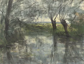 Estanque del bosque