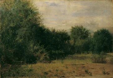 estudio del paisaje