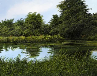 El estanque del jardín