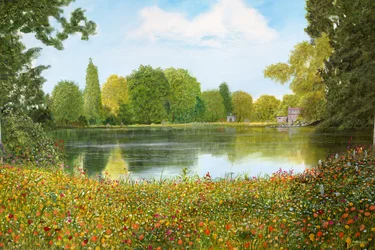 Vista al parque