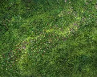 A vista de pájaro