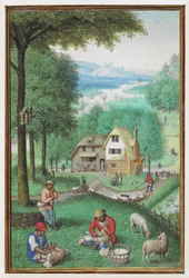 (Folio entero) Calendario en miniatura para junio que muestra a dos hombres esquilando ovejas, con una cabaña en el fondo.