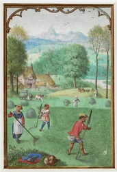 Añadir MS 18855 f.109v Julio: cosecha, siembra, de un Libro de Horas, c.1540 (vitela)