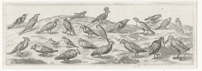 Paisaje con diferentes tipos de pájaros. Pájaros e insectos (título de la serie)