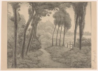 Paisaje con camino forestal