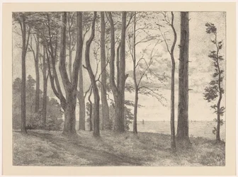 Árboles junto al agua con veleros
Valkeveen (título original)