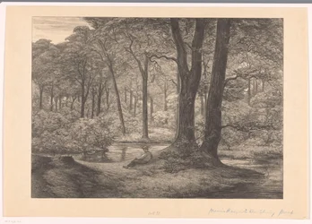 Vista de los Hunnenschans en el Veluwe
Los Hunnenschans (título original)