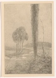 Paisaje con árboles y arroyo