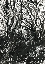 Ham Common Woods (tinta y grafito sobre papel)