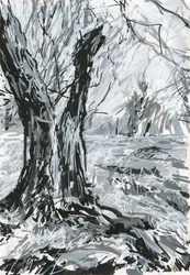 Árbol viejo, Richmond Park (pintura acrílica y tinta sobre papel)