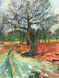 Árbol viejo, Richmond Park, 2019 (lápiz acuarelable y rotulador de pintura acrílica sobre papel)