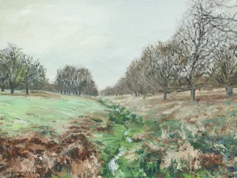 Richmond Park (óleo sobre lino)