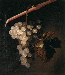 Un racimo de uvas colgando frente a una pared de piedra, 1709