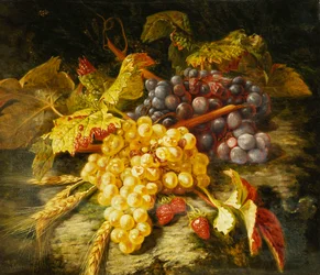 Uvas, trigo barbudo y fresas en un saliente rocoso, 1849