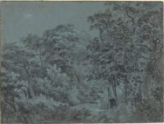 En los bosques de La Haya