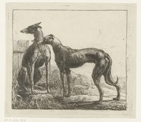 dos galgos Diferentes animales (título de la serie) Kite Bugs (título de la serie)