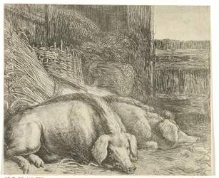 dos cerdos Diferentes animales (título de la serie) Kite Bugs (título de la serie)