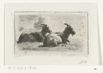 Dos cabras mentirosas