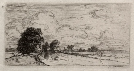 Paisaje inundado con árboles