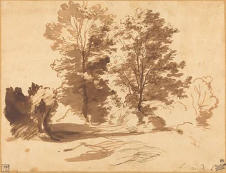 El Borde de un Bosque